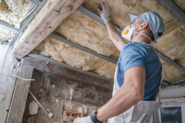 Best Insulation Maintenance and Repair in Jackson, TN